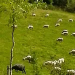 Landhuis Eguzkitze Rural Lss00085 Abaltzisketa