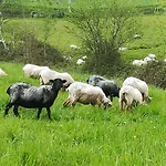 Eguzkitze Rural Lss00085