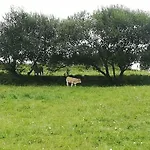 Eguzkitze Rural Lss00085 Abaltzisketa