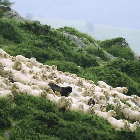 カントリーハウス Eguzkitze Rural Lss00085