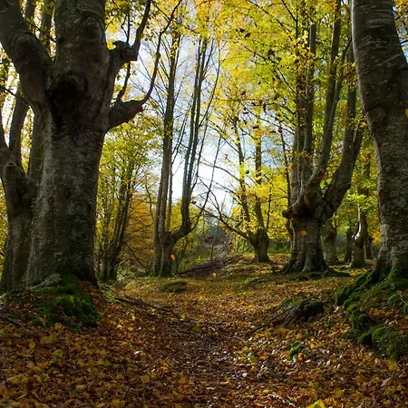 Eguzkitze Rural Lss00085 カントリーハウス *