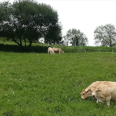 Eguzkitze Rural Lss00085 カントリーハウス Abaltzisketa