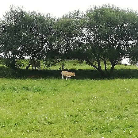 Eguzkitze Rural Independiente Abaltzisketa